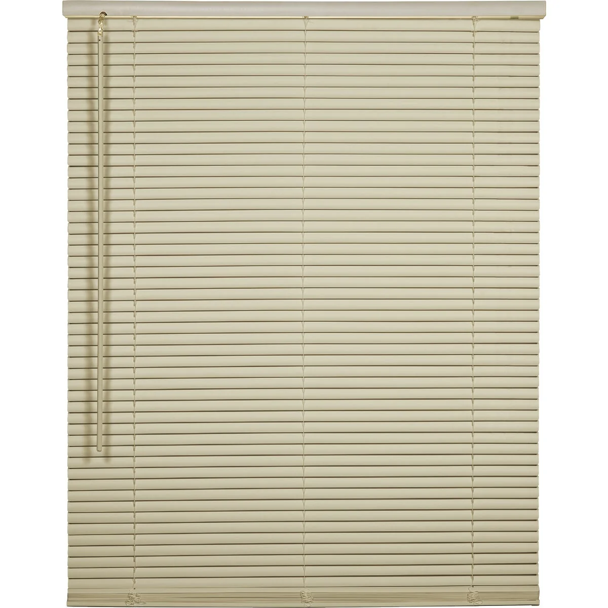 Elegant Home Impressions 60 In. x 64 In. x 1 In. Ivory Vinyl Light Filtering Cordless Mini Blind Recyclable