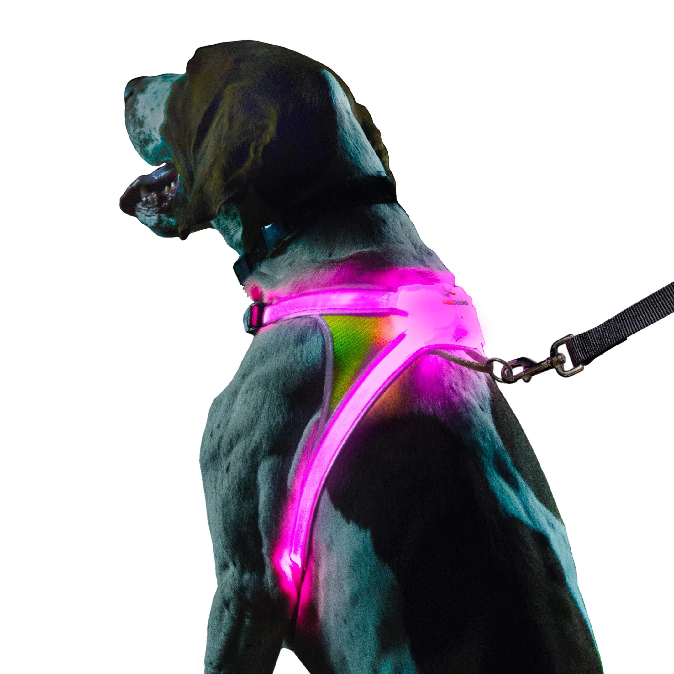 Green Noxgear LightHound LED Dog Harness – 360° Visibility USB Rechargeable Rainproof X-Large Contemporary