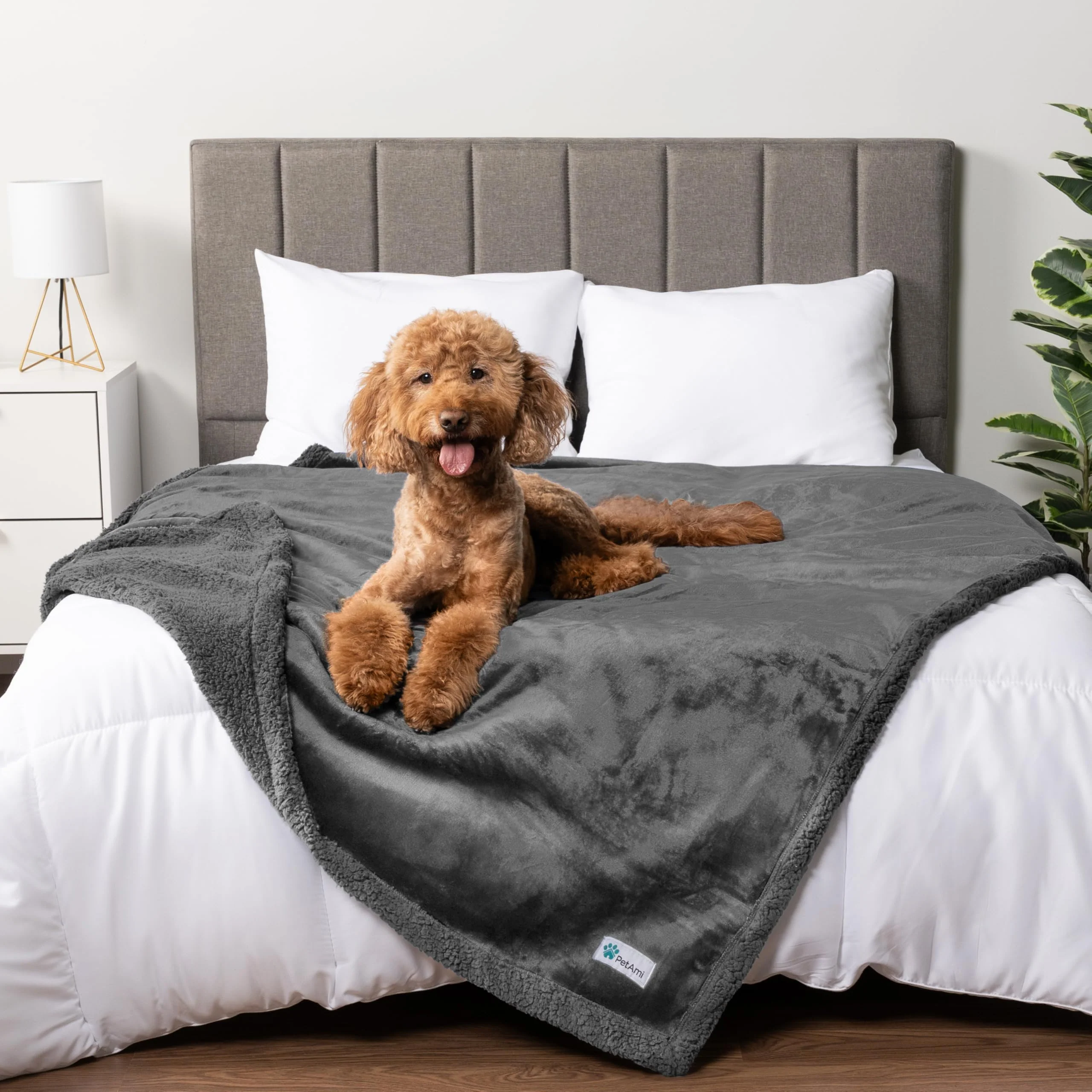 Recyclable PetAmi Waterproof Dog Blanket 90x90 – Reversible Sherpa Leakproof Couch Cover Solid
