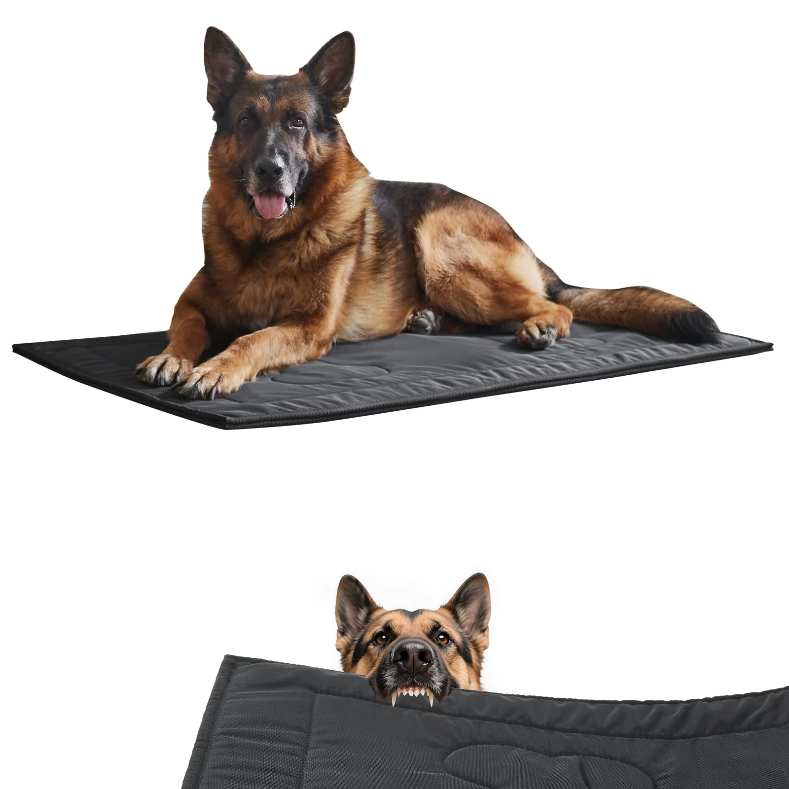 Modern Couzssyhi Chew Proof Dog Crate Pad — Indestructible Waterproof Machine Washable Bed for Medium Dogs 22x35 Responsible