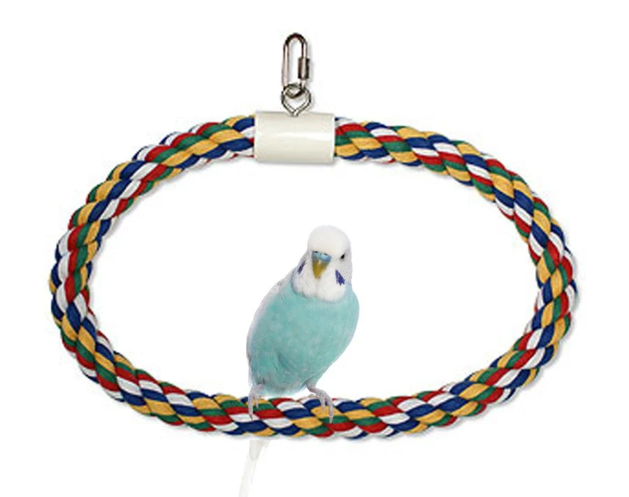 Original Design JW Pet Swing N Perch Ring Bird Toy Multicolor Medium High-Grade