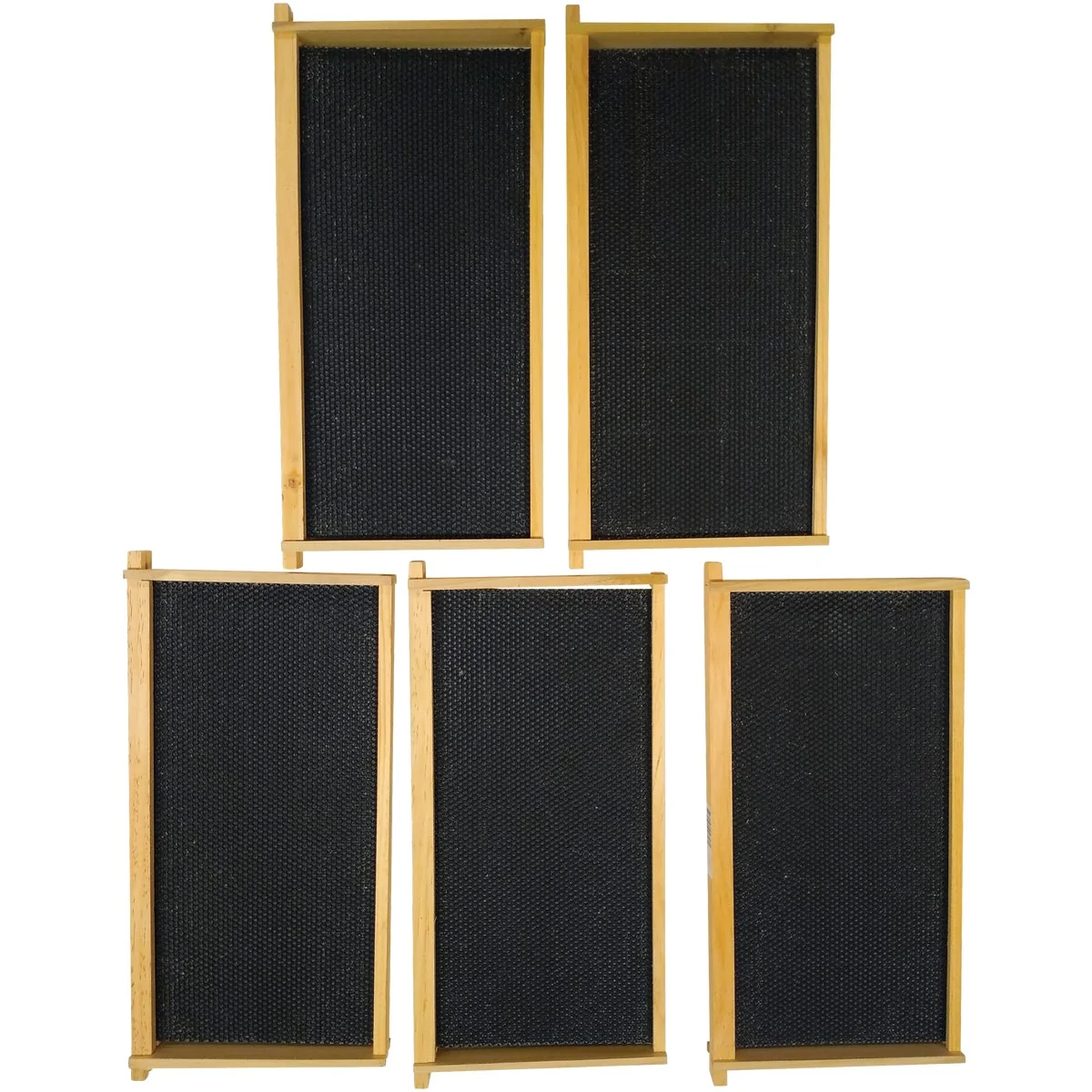 Healthy Harvest Lane Honey Deep Beehive 5 Frames Selected