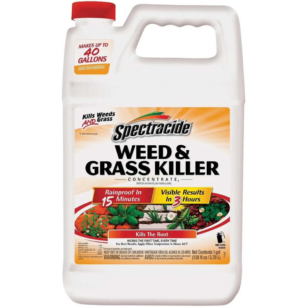 Consistent Spectracide 1 Gal. Concentrate Weed Grass Killer Selected