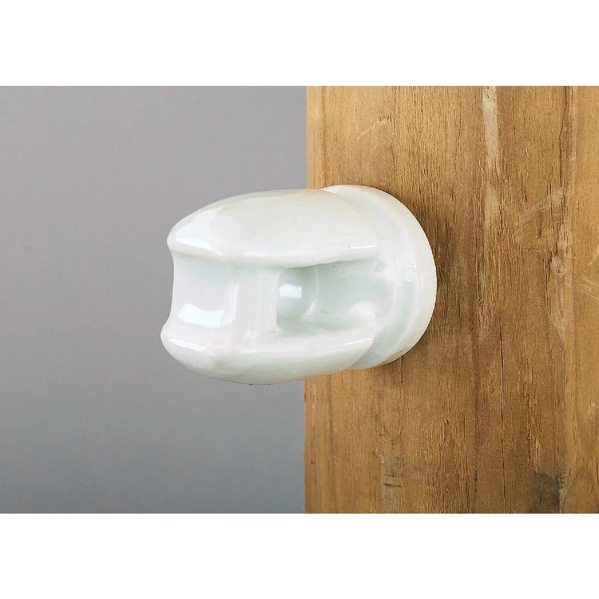 Secure Dare Screw-In White Porcelain Electric Fence Insulator Relaxed