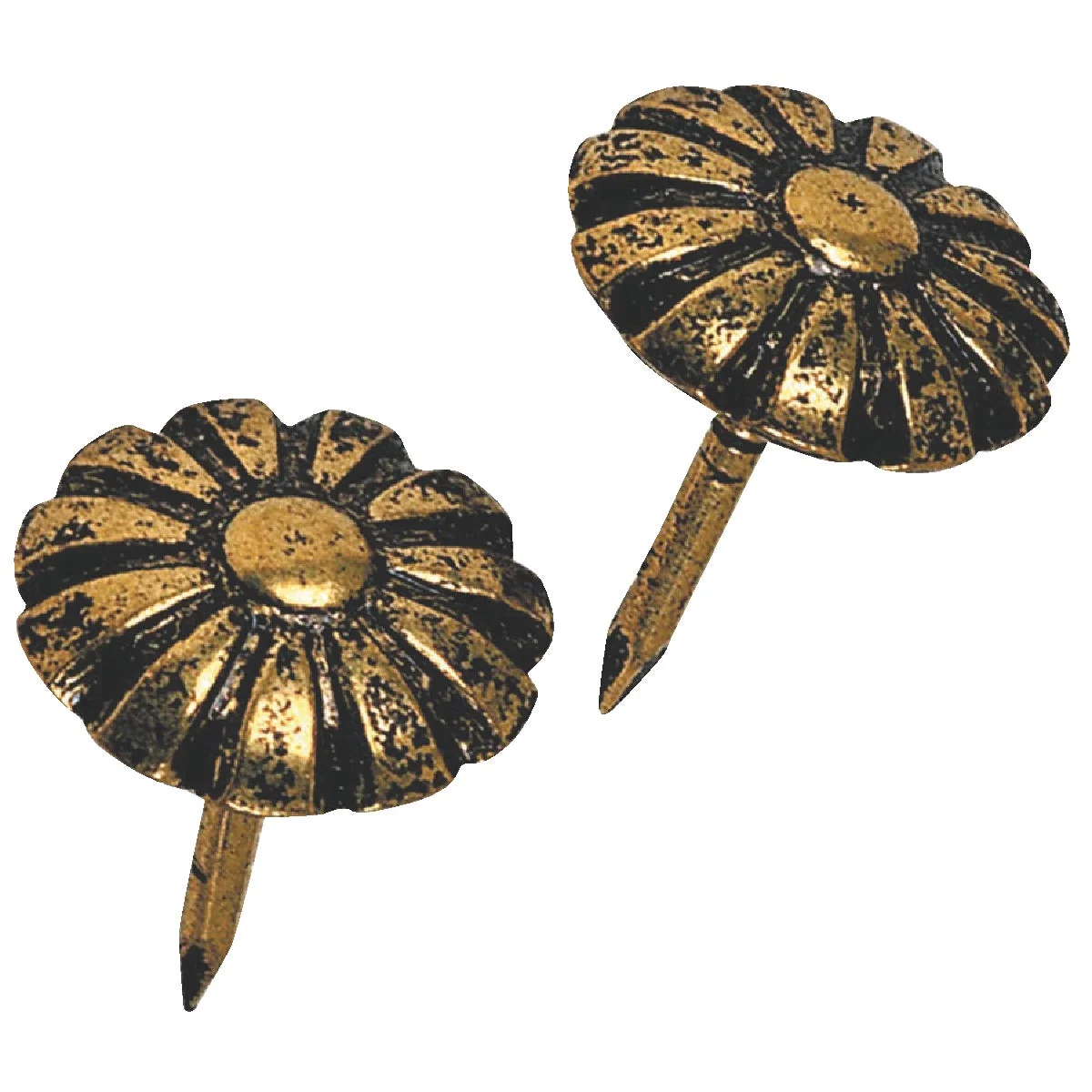 Convenient Hillman Fastener Corp Daisy Oxford Antique Brass Furniture Nail 25 Ct. Clean