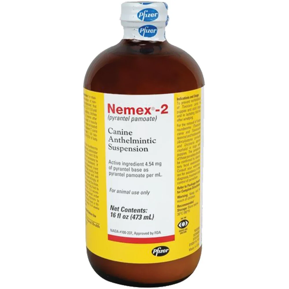 Prestigious Nemex 2 16 oz – Palatable Dog Dewormer for Roundworms Hookworms Trusted