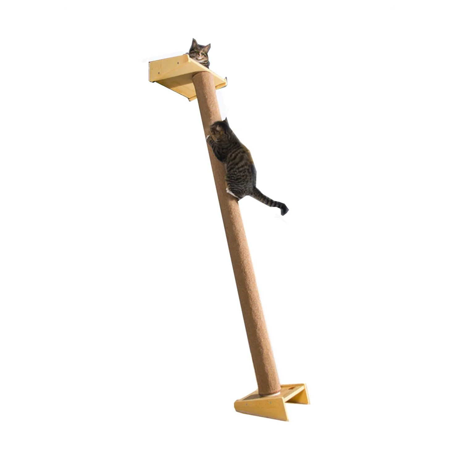 Premium Material SHENGOCASE Modern 78.7-Inch Tall Leaning Cat Tree Tower – Wall Mount No-Drill