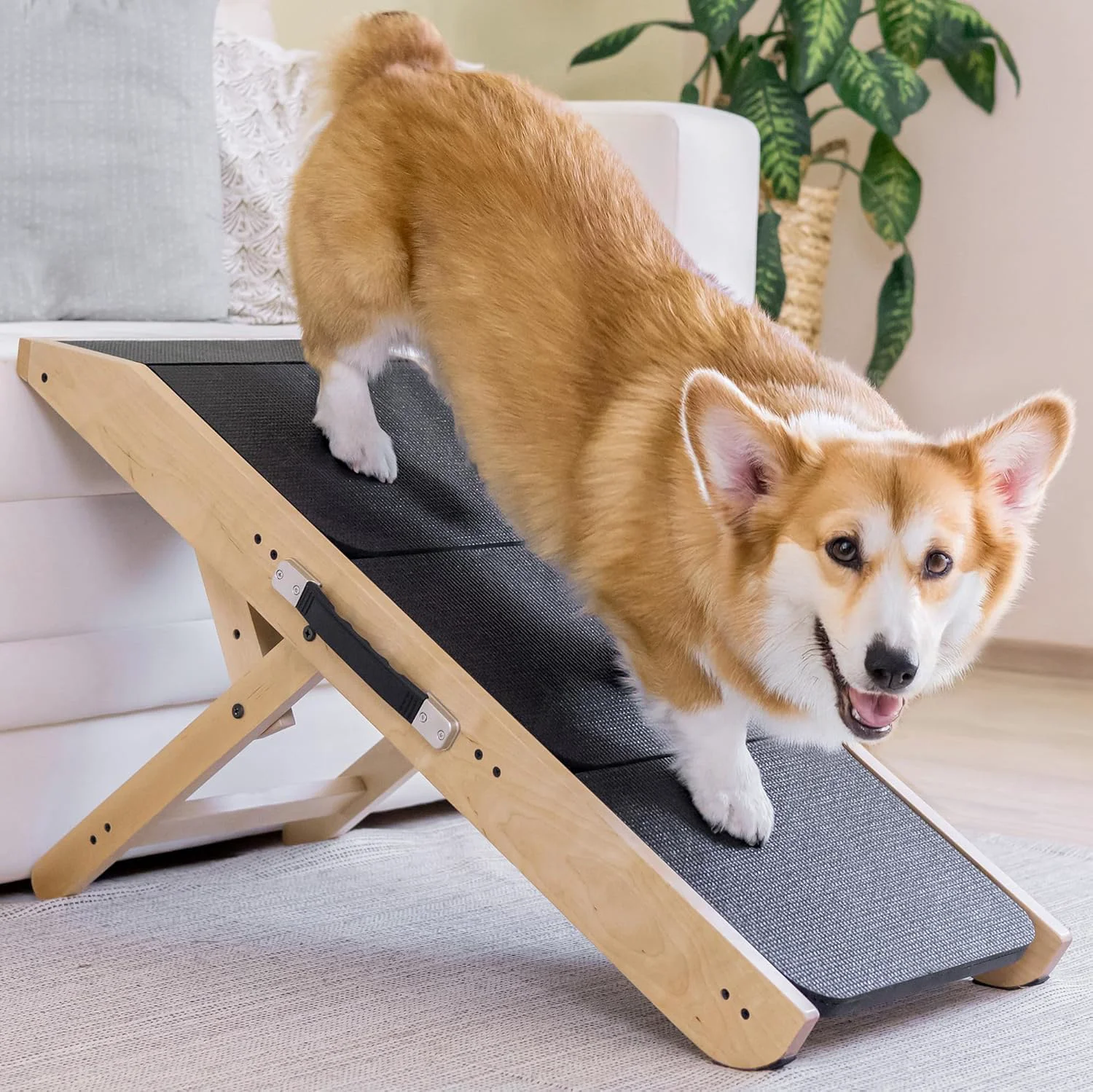 Relaxed PRIORPET Dog Ramp for Couch – Non-Slip Foldable 7–20 in 200 lbs Birchwood Green