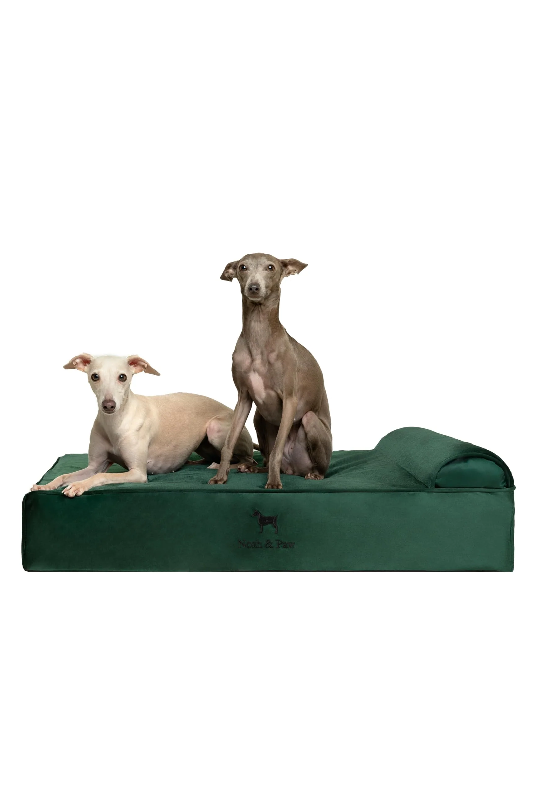 Functional NOAH PAW Large Dog Bed – Orthopedic Gel Memory Foam Waterproof 35x25x8.7 in Versatile