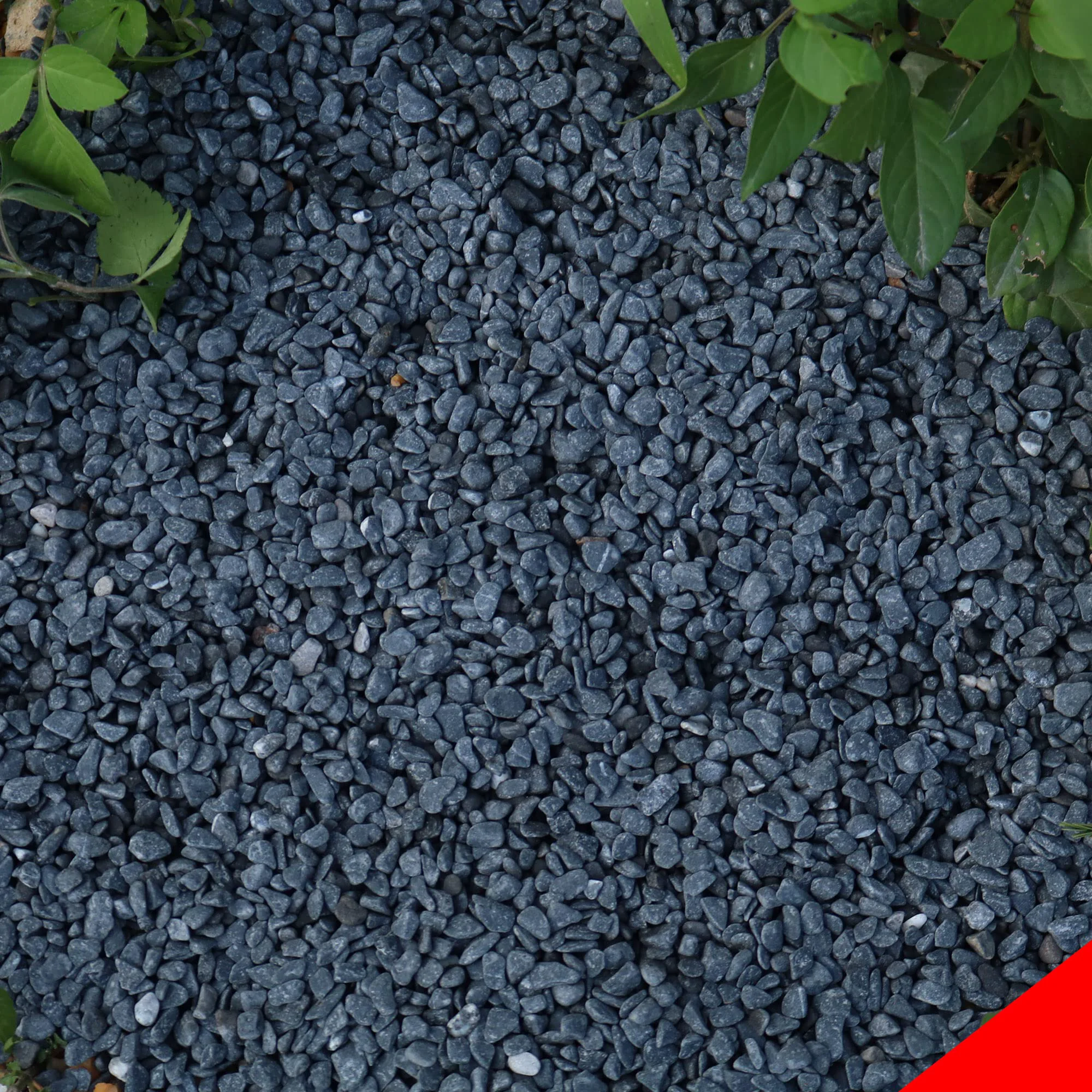 High-End Anothera 18lb Black Cactus Pea Gravel – 1 4-Inch Decorative Rocks for Succulents Terrariums Functional