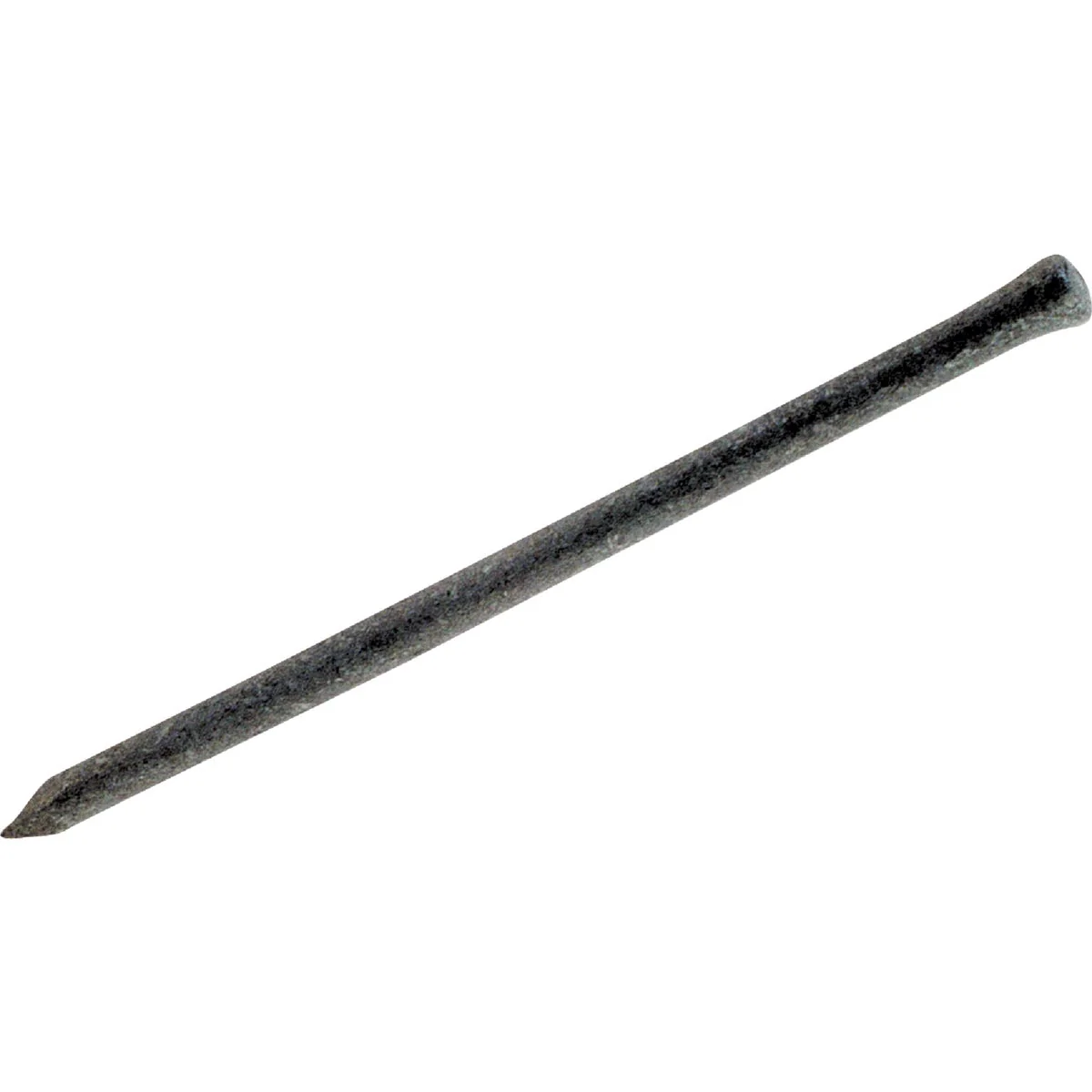 Durable Do it 6d x 2 In. 12-1 2 ga Hot Galvanized Casing Nails 244 Ct. 1 Lb. Secure