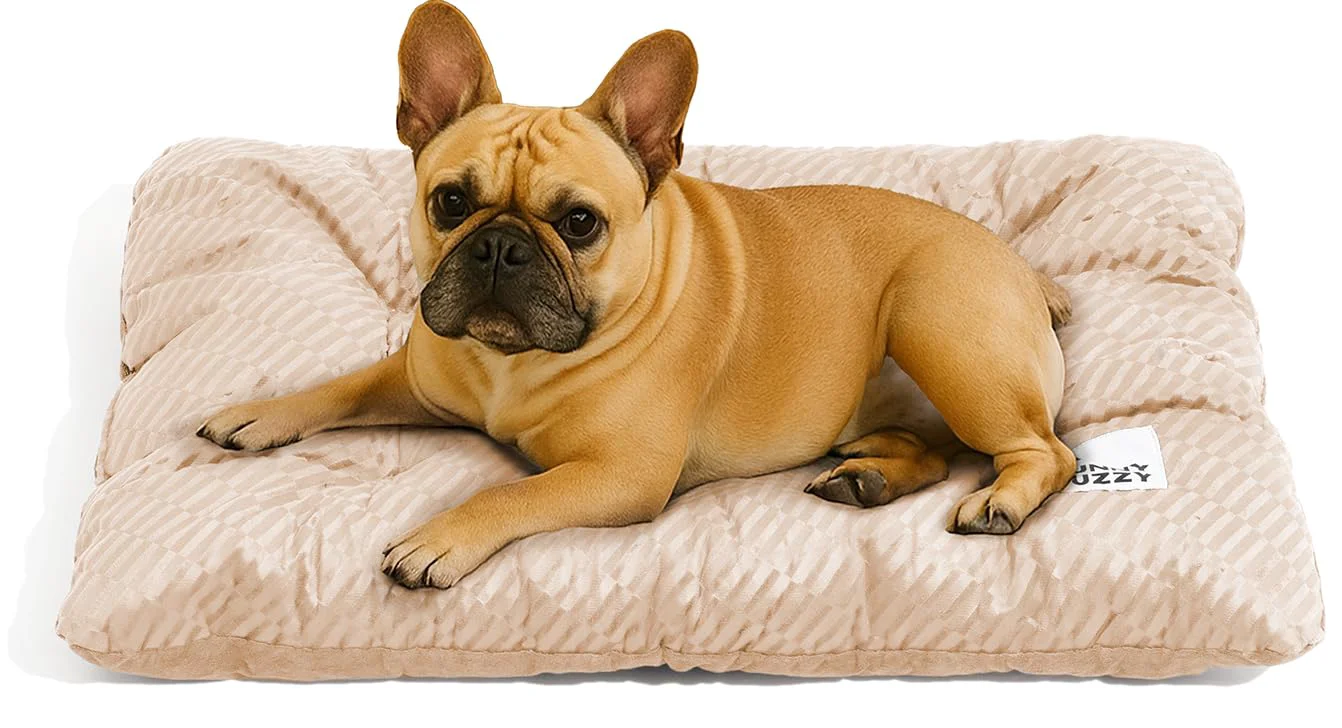 Proven FUNNY FUZZY 30x20 Washable Dog Bed Crate Mat – 2-in-1 Plush Pillow for Medium Dogs Cats Charcoal Grey Beige Fashionable