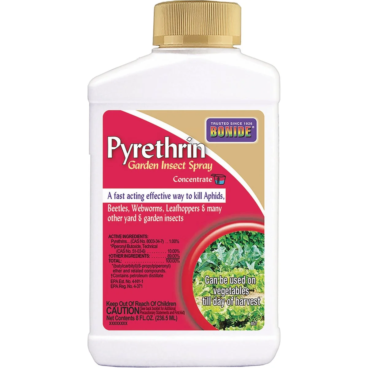 Contemporary Bonide 8 Oz. Concentrate Pyrethrin Insect Killer Fine