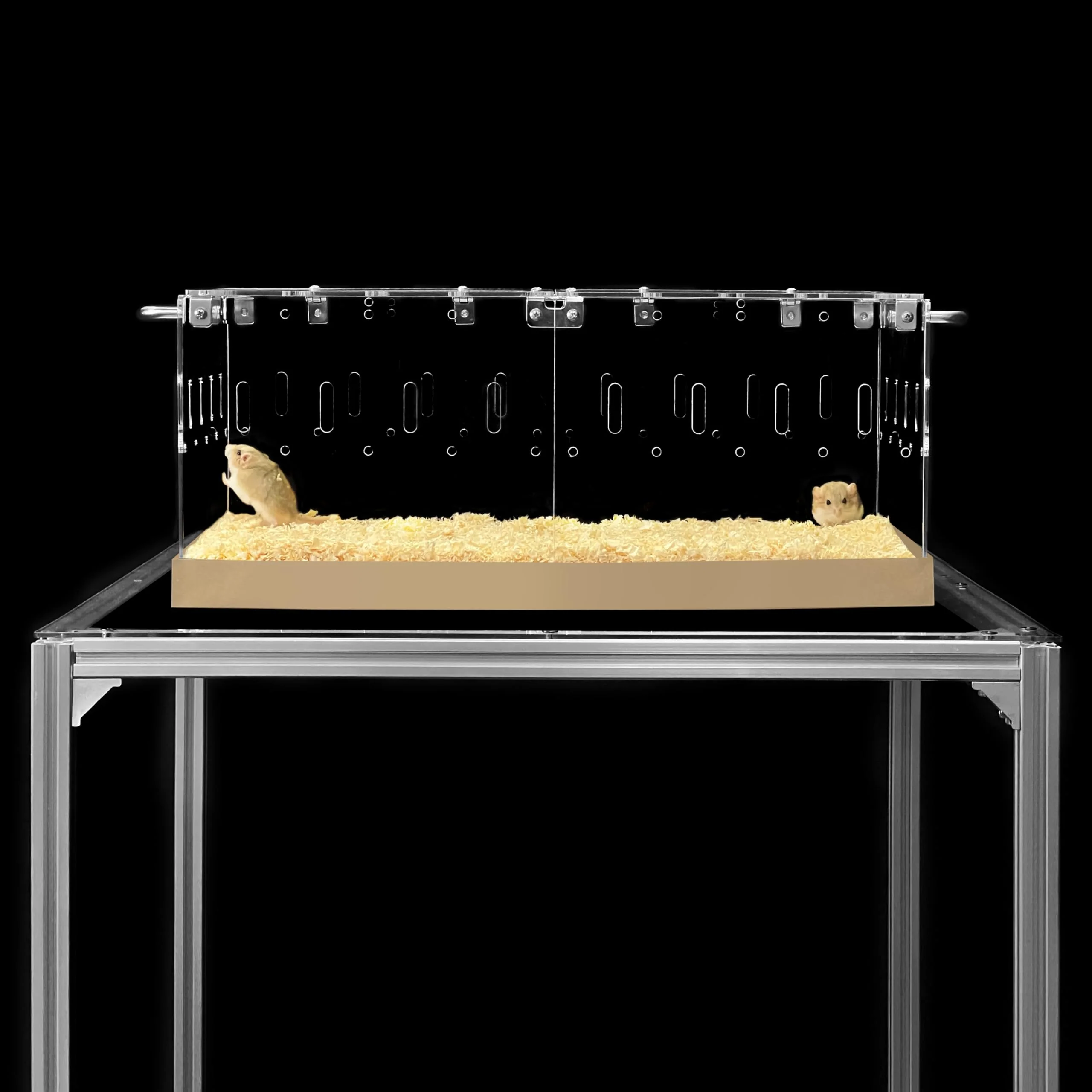 Functional GuineaLoft Acrylic Cage Model-P3 – Small Pet Enclosure with Lid Bottom 2x1 ft Next-Generation