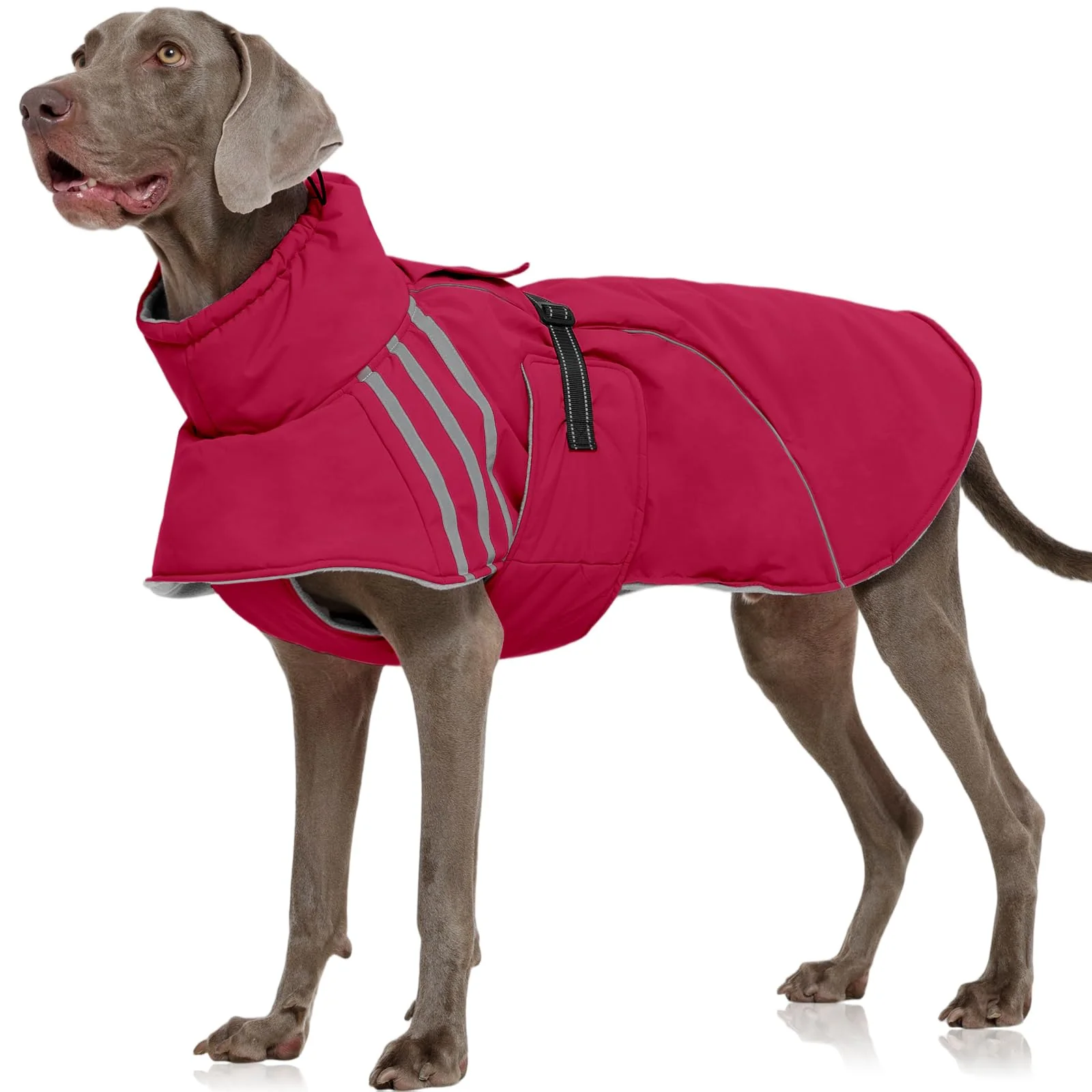 Organic FUAMEY Dog Winter Coat for Large Dogs Waterproof Warm Reflective Wine Red 3XL Sophisticated