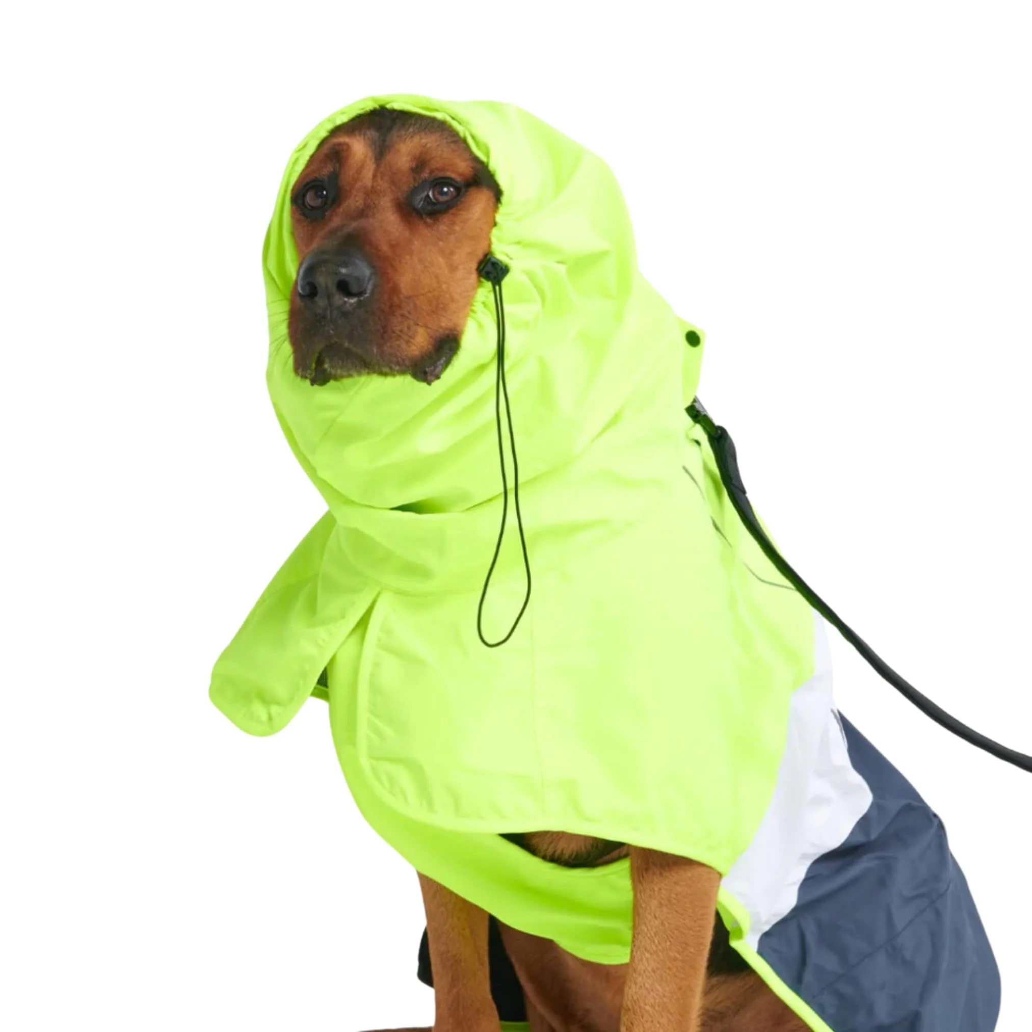 Organic Spark Paws Dog Raincoat – Waterproof Windproof Full-Body Dry Suit Neon White Navy for All Sizes Trusted