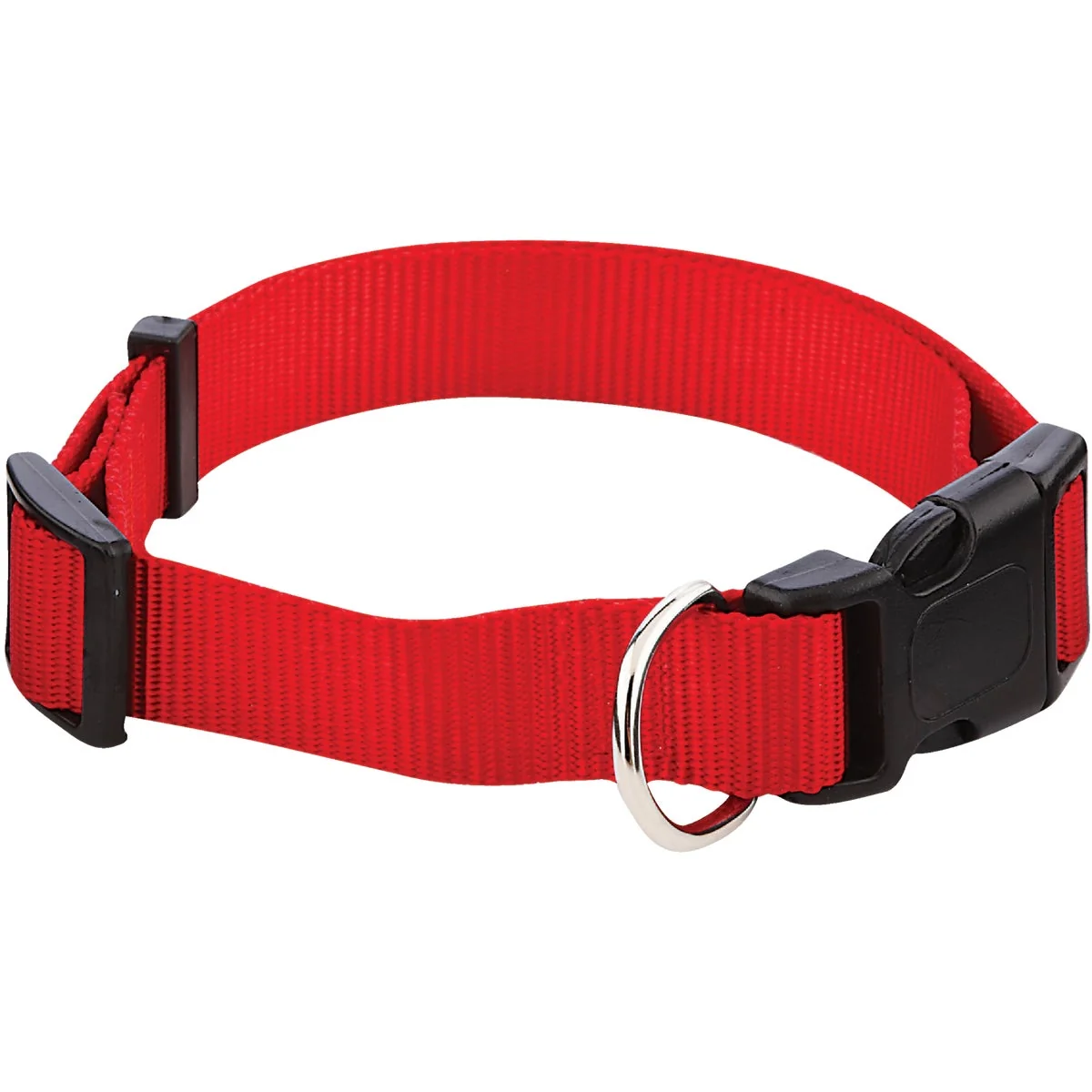 Recyclable Westminster Pet Ruffin' it Adjustable 18 In. to 26 In. Nylon Dog Collar Fine