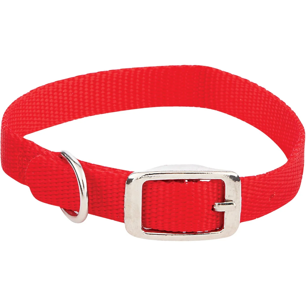 Green Westminster Pet Ruffin' it Adjustable 14 In. Nylon Dog Collar Proven