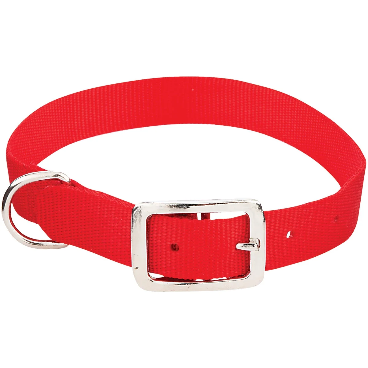 Elite Westminster Pet Ruffin' it Adjustable 22 In. Nylon Dog Collar Effective