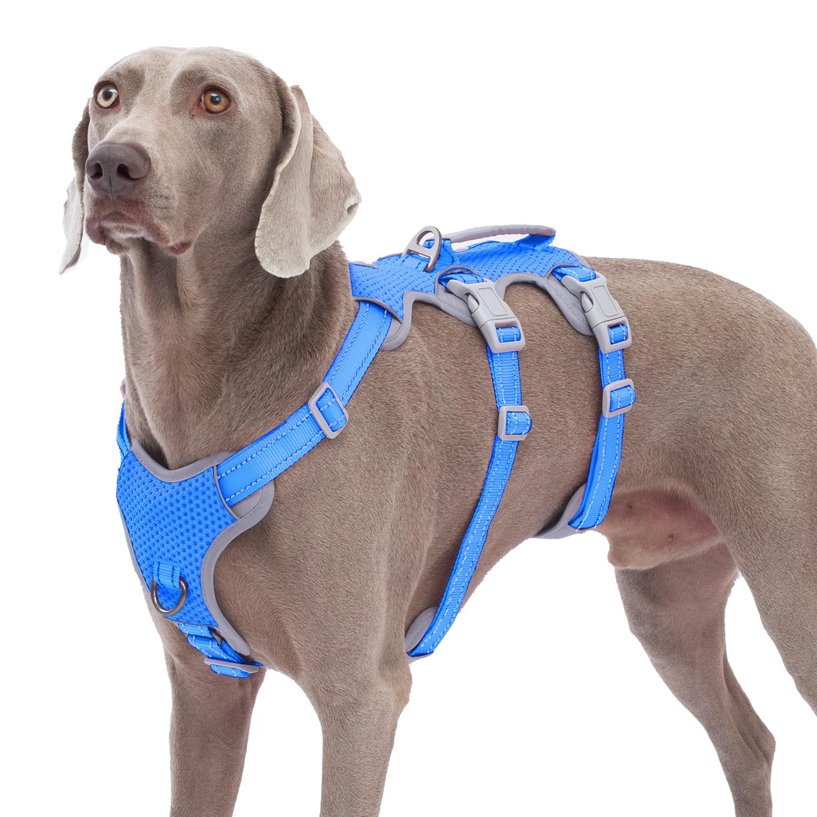 Green Huntboo Escape Proof Dog Harness – Reflective No-Pull Vest with Lift Handle Sea Blue L Premium Material