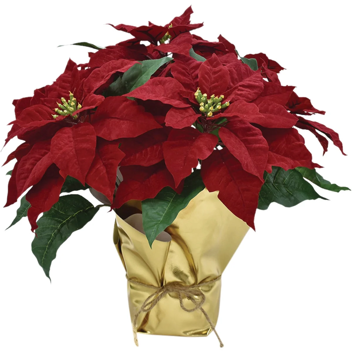 Dependable 17 In. Regal Red Poinsettia Carefully Designed