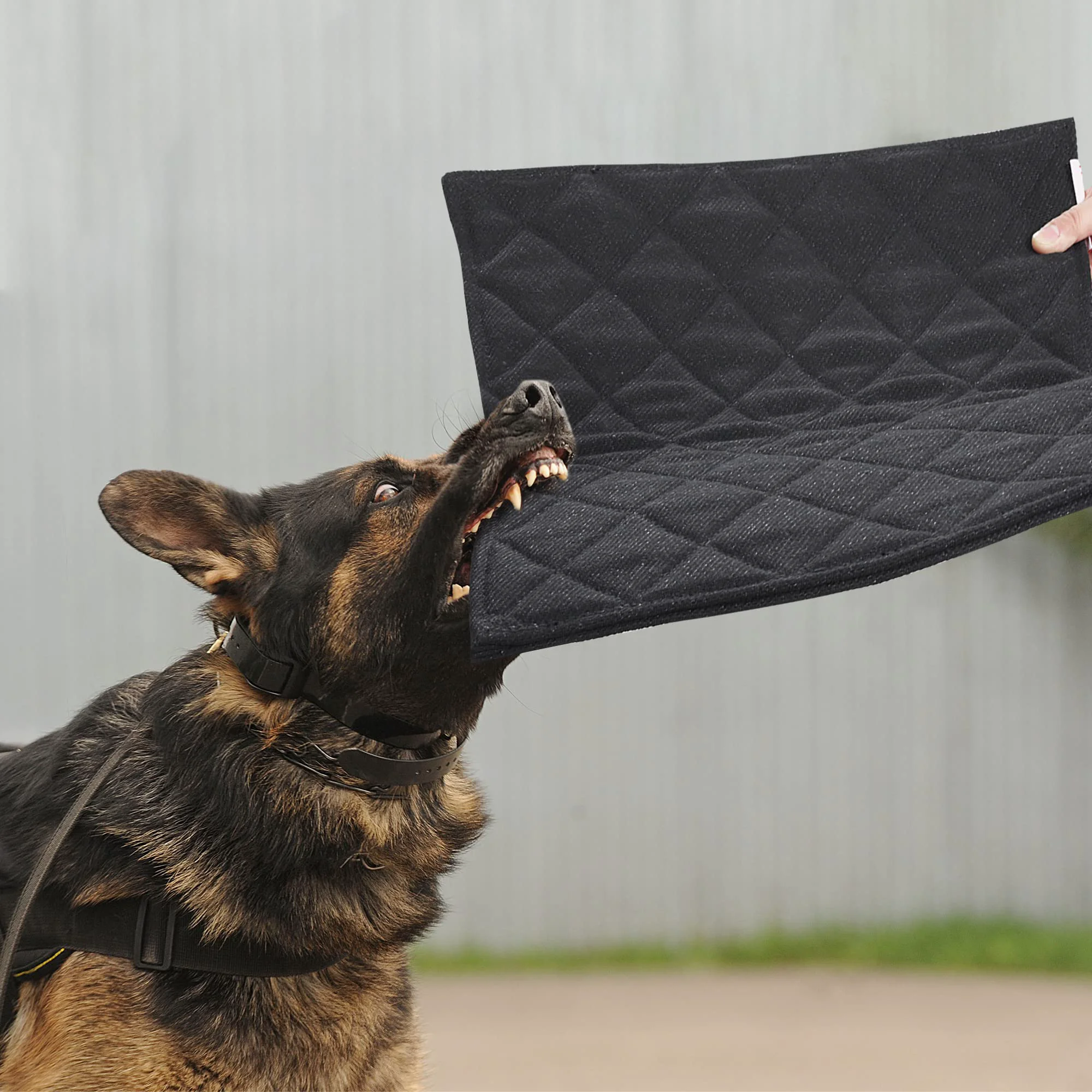 Consistent MABOZOO Indestructible Dog Bed – Chew-Proof Crate Pad for Aggressive Chewers 18x29 in Black Quality