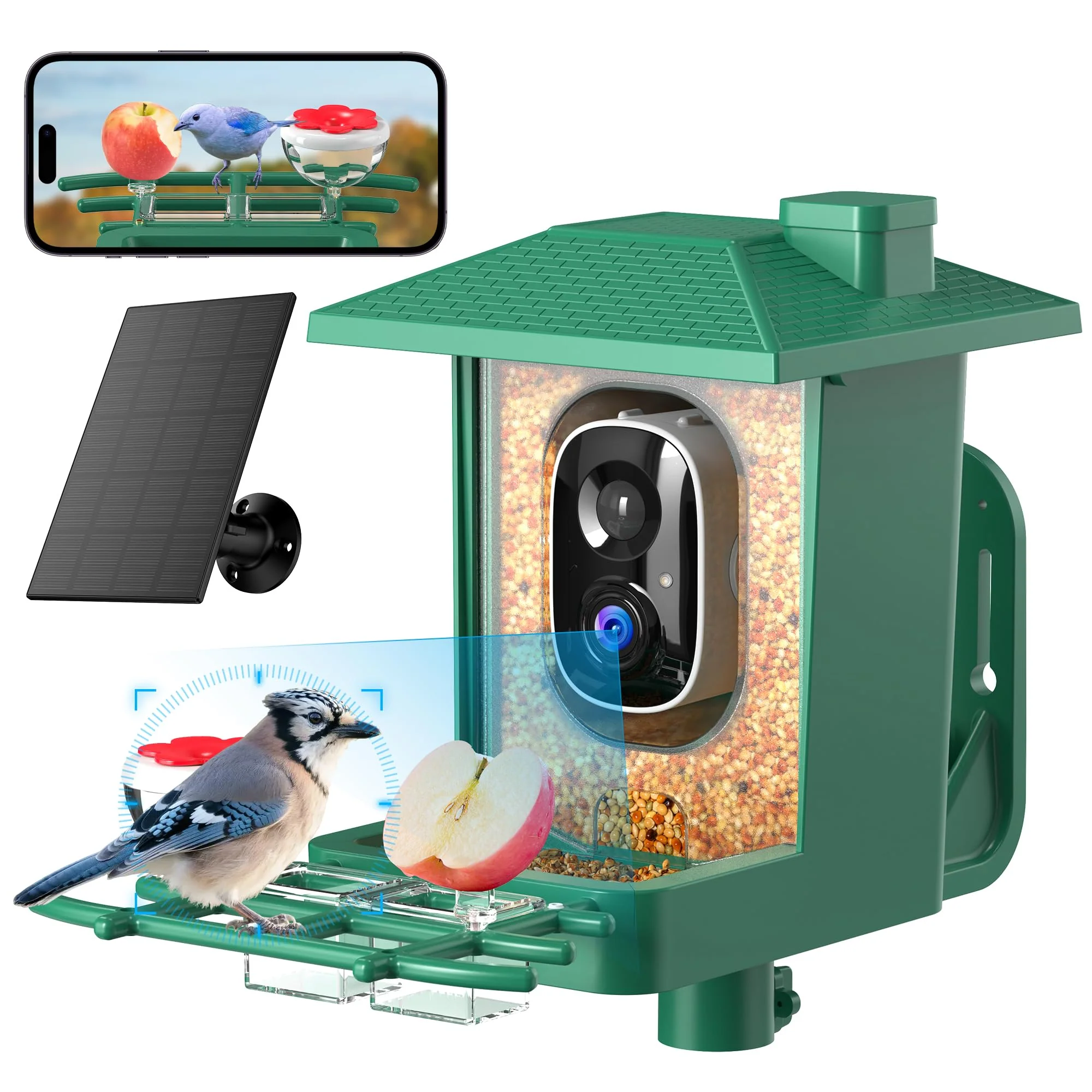 Safe VIMKIM Bird Feeder with Camera Outdoor Solar — 2K AI Recognition Live Stream Professional