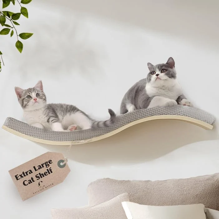 Exceptional Callico Haven Wave S-Shape Extra Large Wall-Mounted Cat Shelf with Cushioned Perch Practical