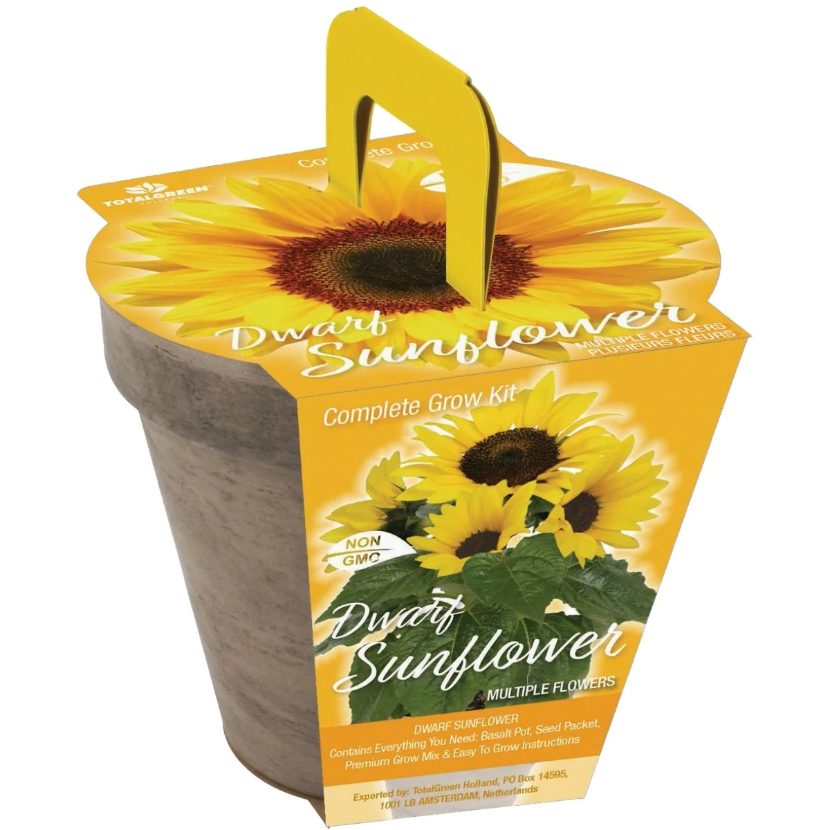 Certified TotalGreen Holland Dwarf Sunflower Grow Kit High-End