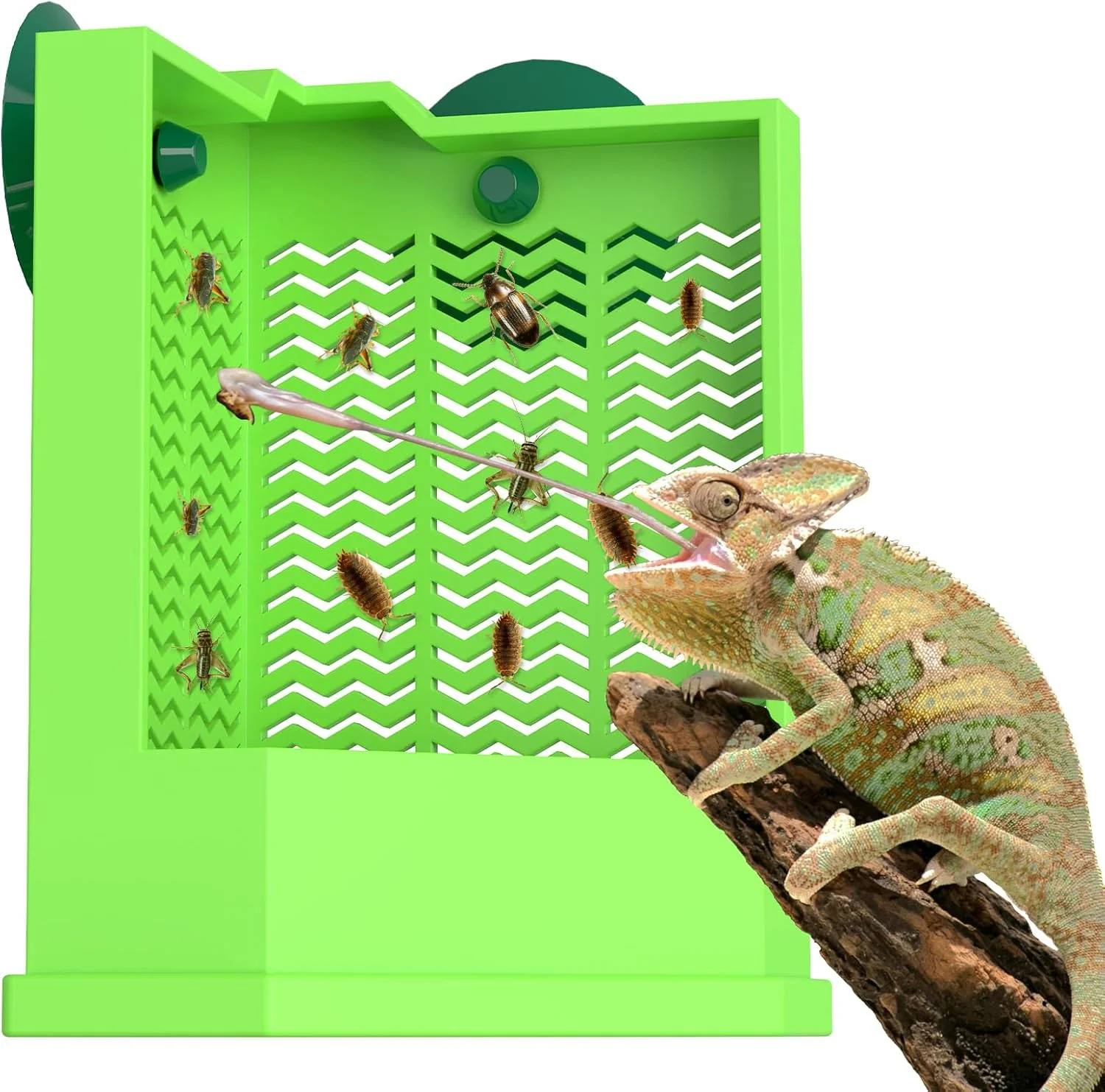 Natural Pawfly Bearded Dragon Feeder - Escape-Proof Corner Reptile Food Box Wall-Mounted with Suction Cups for Insects - Bug Bowl for Lizards Geckos Chameleons Frogs Secure