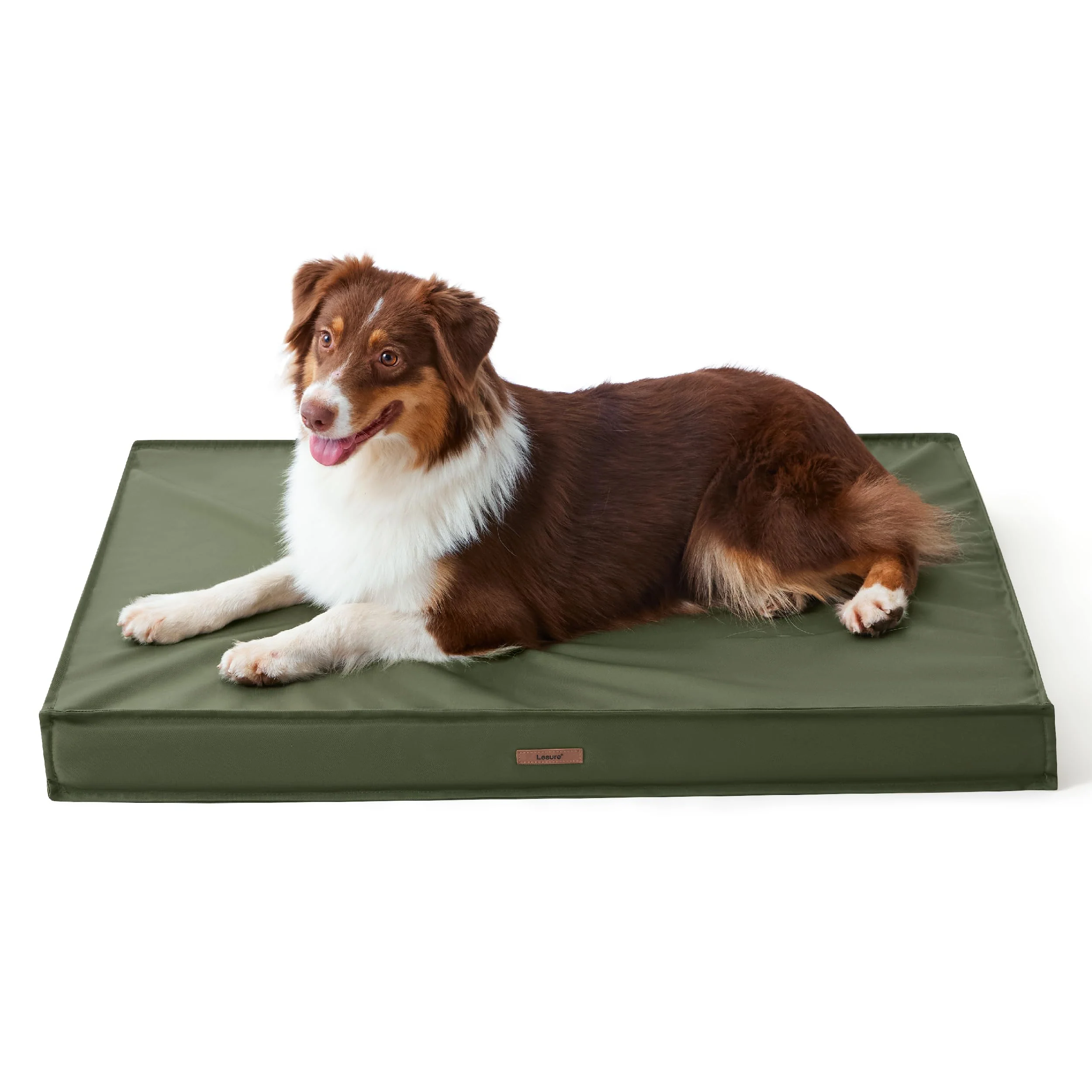 First-Class LE SURE Outdoor Waterproof Dog Bed – Medium 30x20 Orthopedic Egg Crate Foam Green Practical