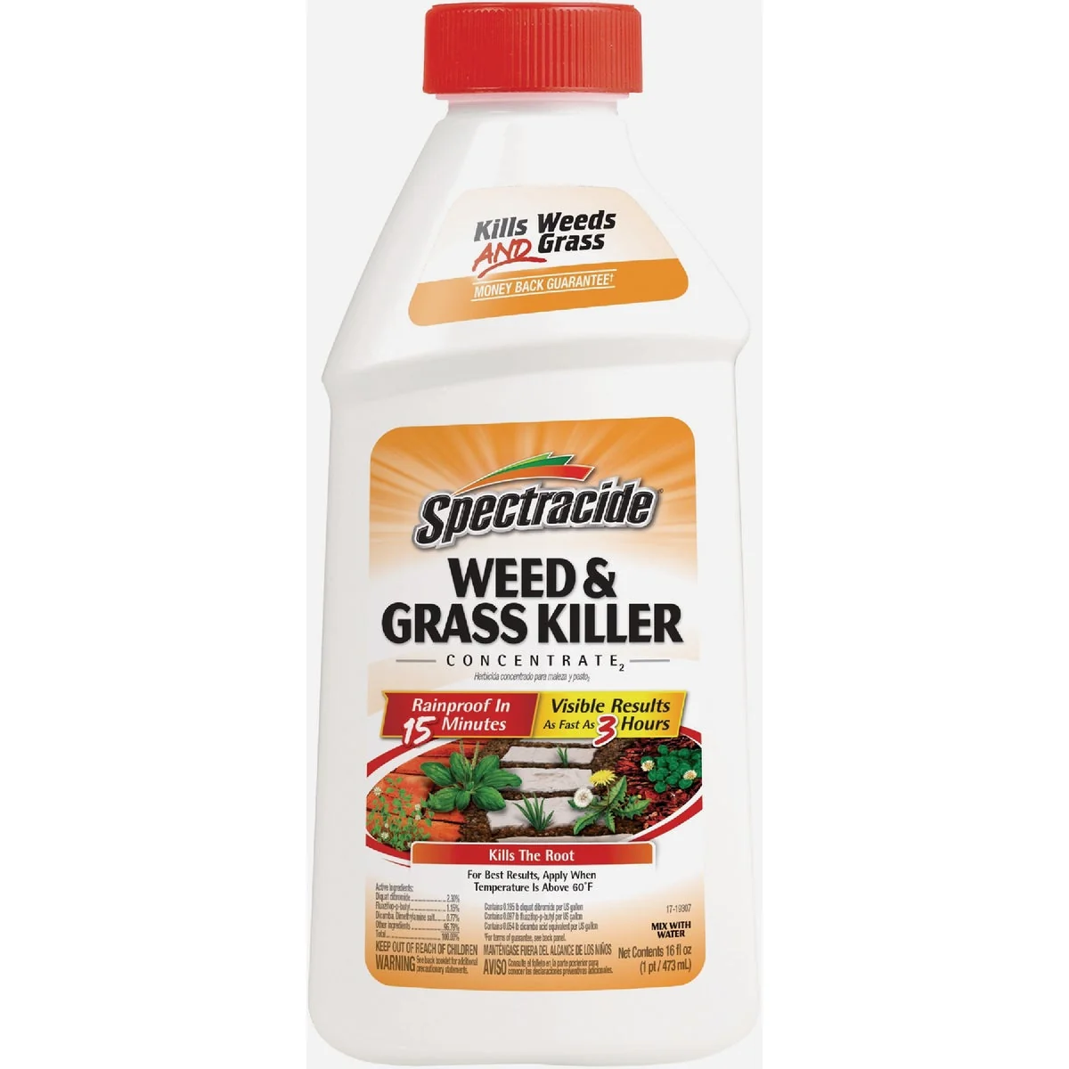 Carefully Designed Spectracide Weed Grass Killer2 16 Oz. Concentrate High-Quality