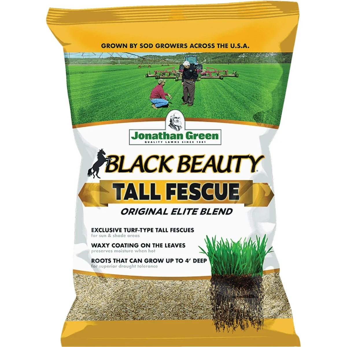 Authentic Jonathan Green Black Beauty 7 Lb. Tall Fescue Elite Blend Grass Seed Exceptional