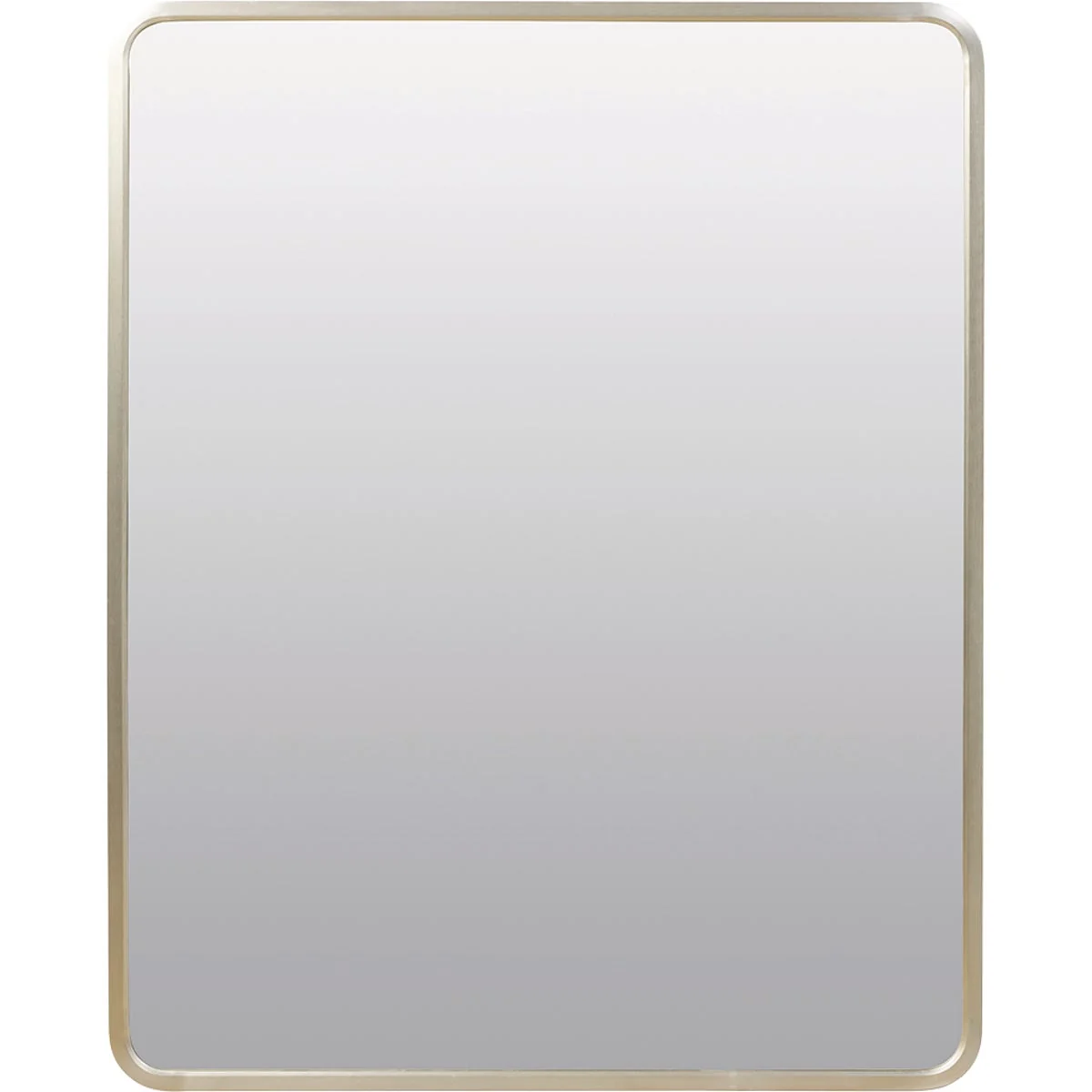 Proven Zenna Home Designer Series Brushed Nickel 24 In. W x 30 In. H x 5 In. D Single Mirror Surface Recess Mount Rectangle Medicine Cabinet Traditional
