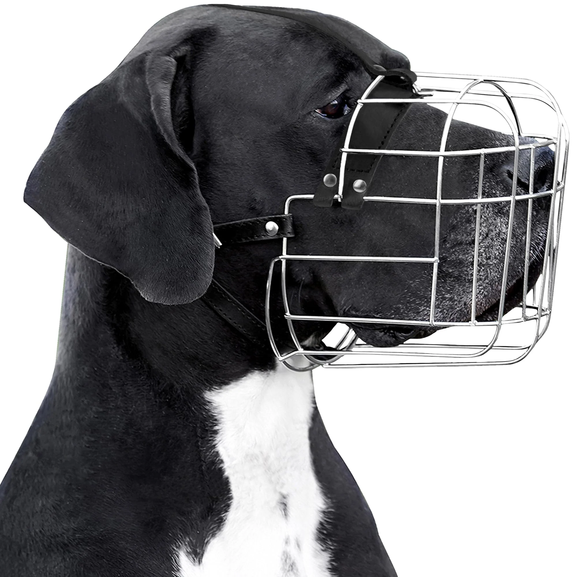 High-Quality BRONZEDOG Adjustable Stainless Steel Dog Muzzle for Large XL Breeds Green
