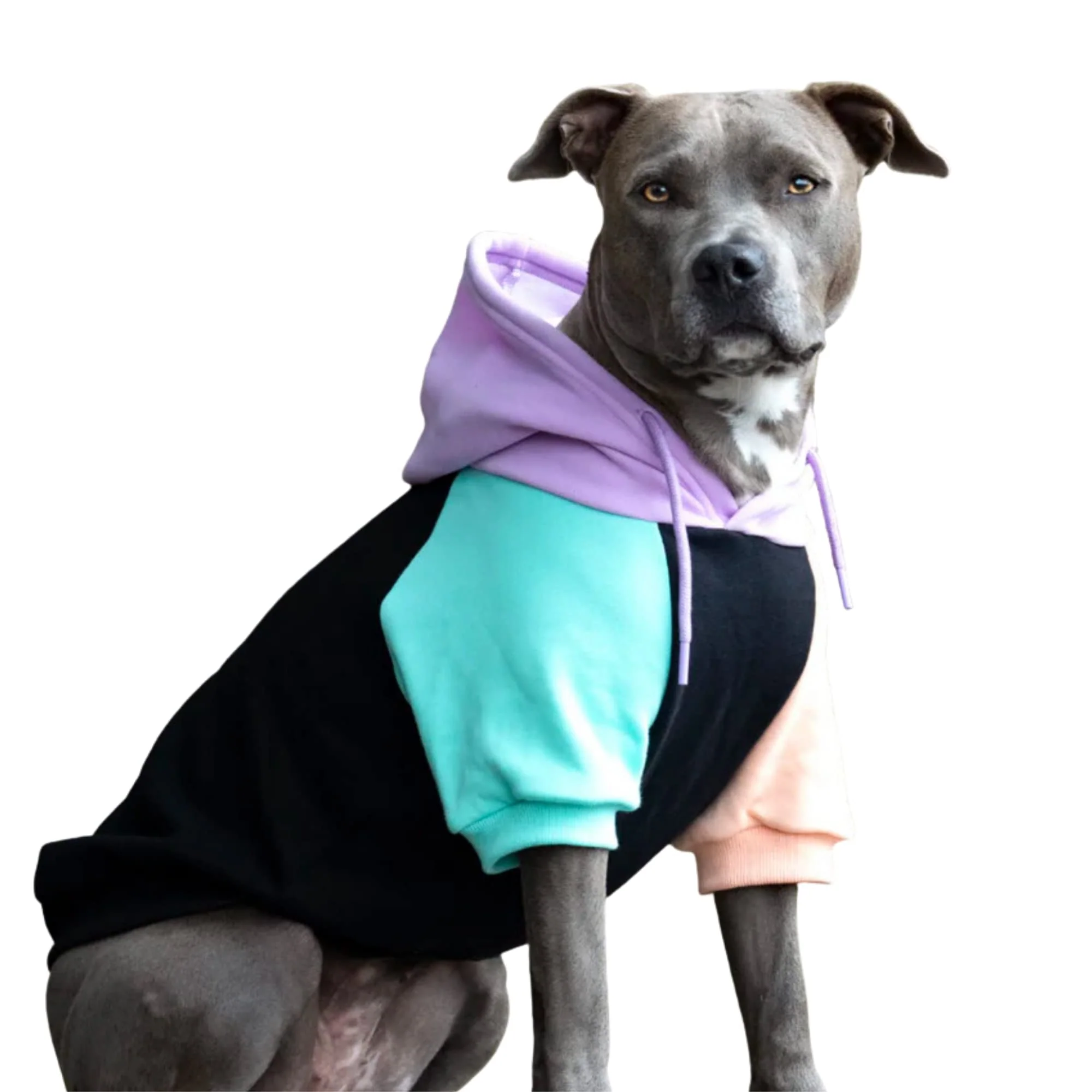 Comfortable Spark Paws Dog Hoodie – Premium Cyber Punk Winter Sweater for Small to Large Dogs 2XL High-Performance