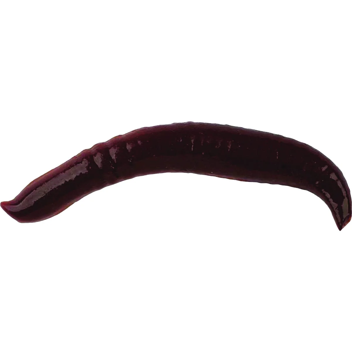 High-Quality Berkley Gulp 1 In. Pinched Crawler Nightcrawler 14-Pack Durable