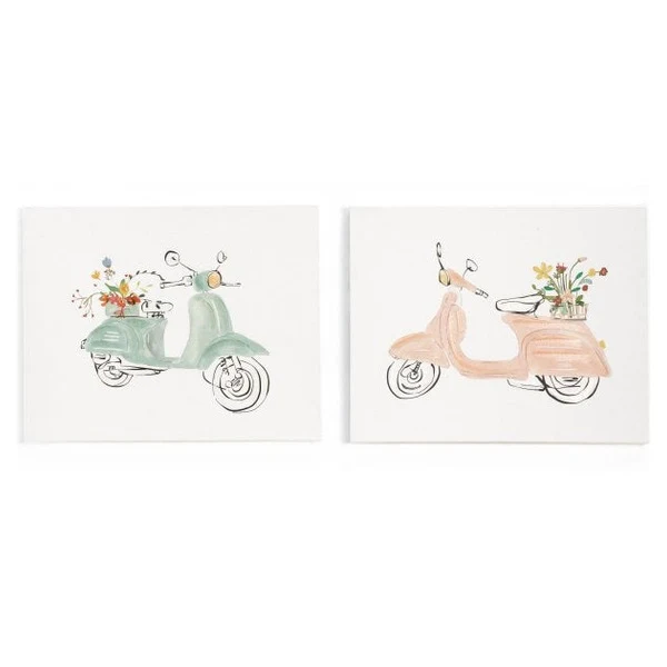 Professional PRT PPR 2 ASST MOPED SGE PNK Set of two Classic