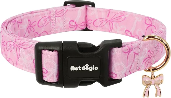 Quality Large Dog Collar Girl Boy Dog Collars High-End