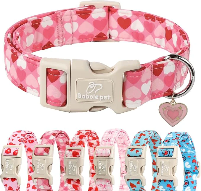 Premium Material Valentines Dog Collar for Medium Dogs Recyclable