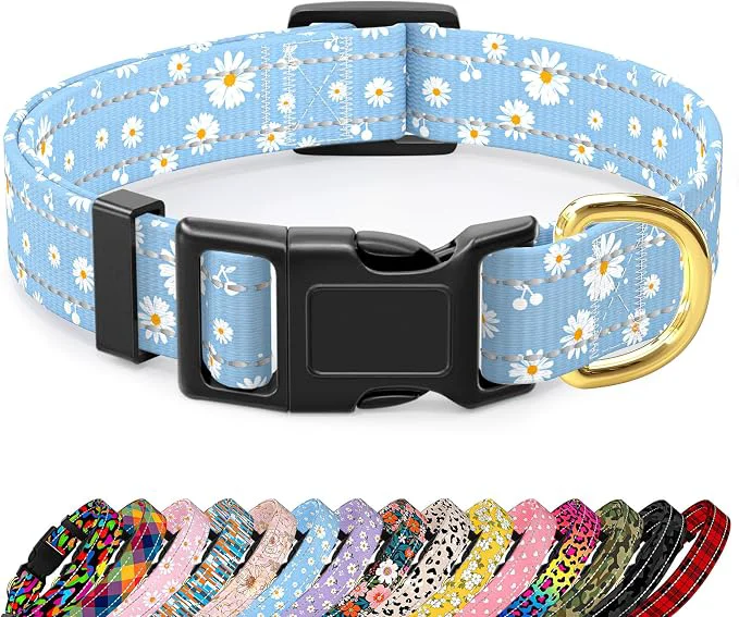Healthy Reflective Dog Collar for Small Dogs Cute Daisy Theme Adjustable Heavy-Duty Authentic