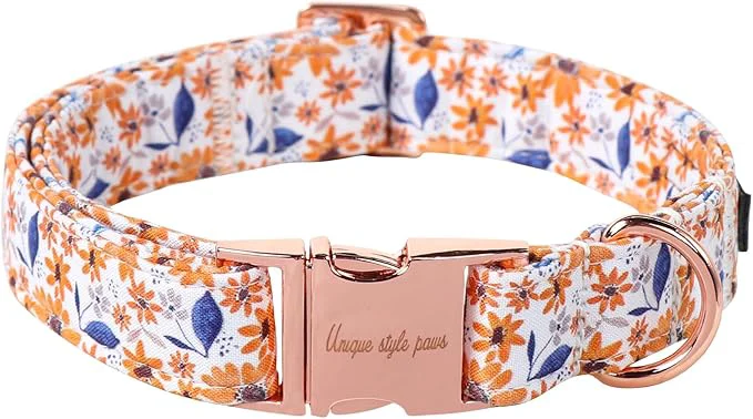 Functional Unique style paws Dog Collar Metal Buckle Collar Durable