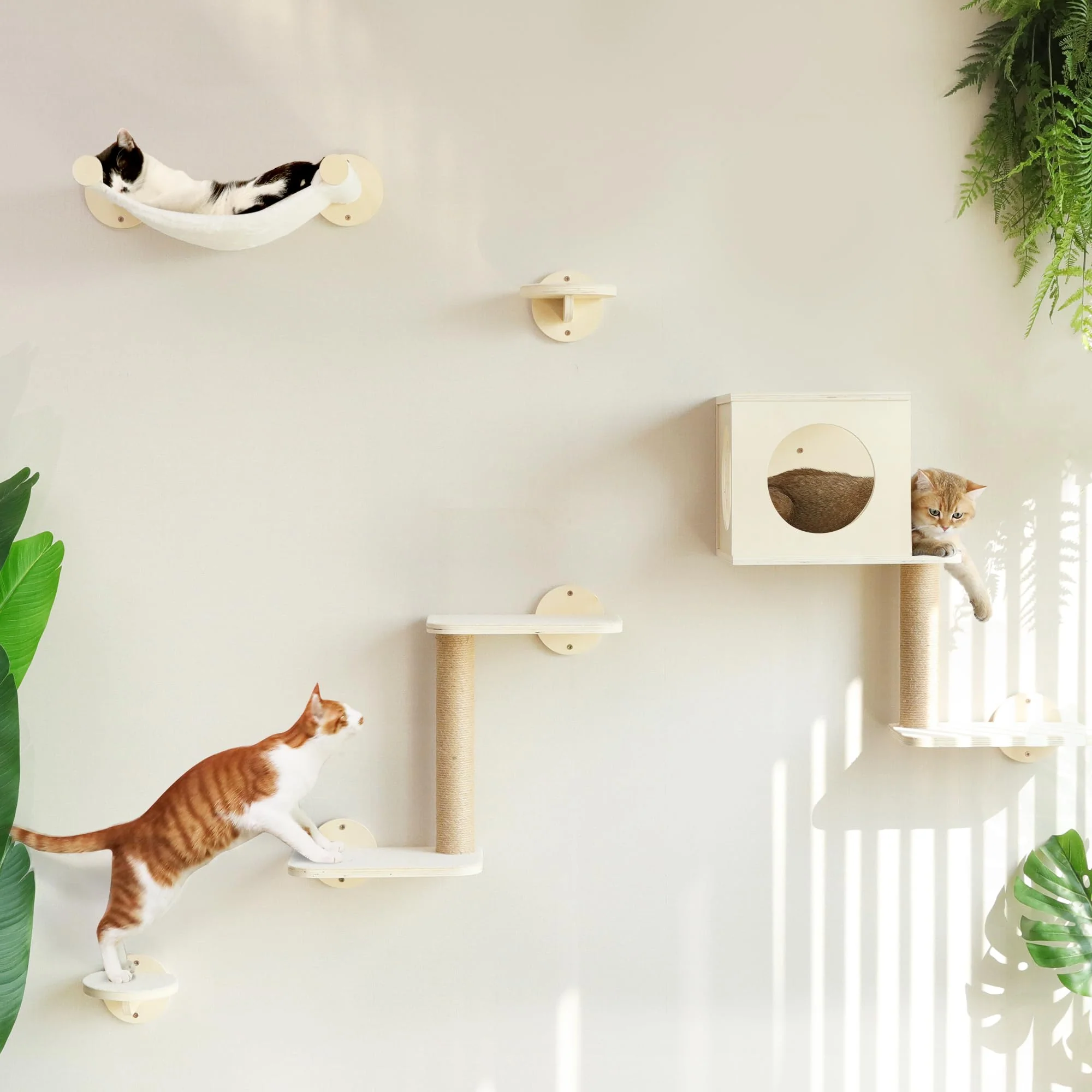 Environmentally Friendly FUKUMARU Cat Wall Shelves - 5-Piece Beige Wooden Climber with Hammock Genuine