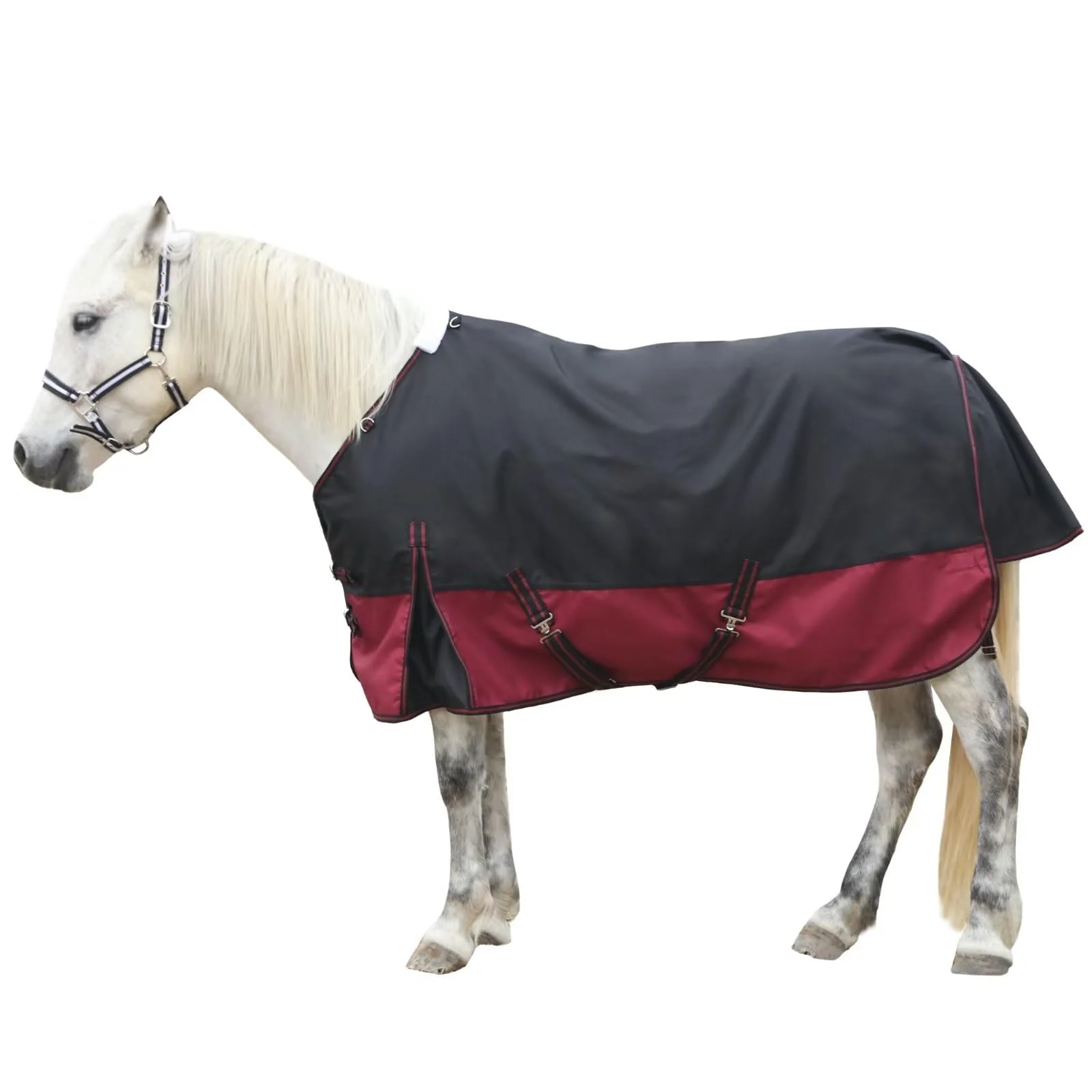 Outstanding LEAFOREST 1200D Waterproof Breathable Turnout Blanket – Standard Neck Horse Sheet Black Red 75in Elegant