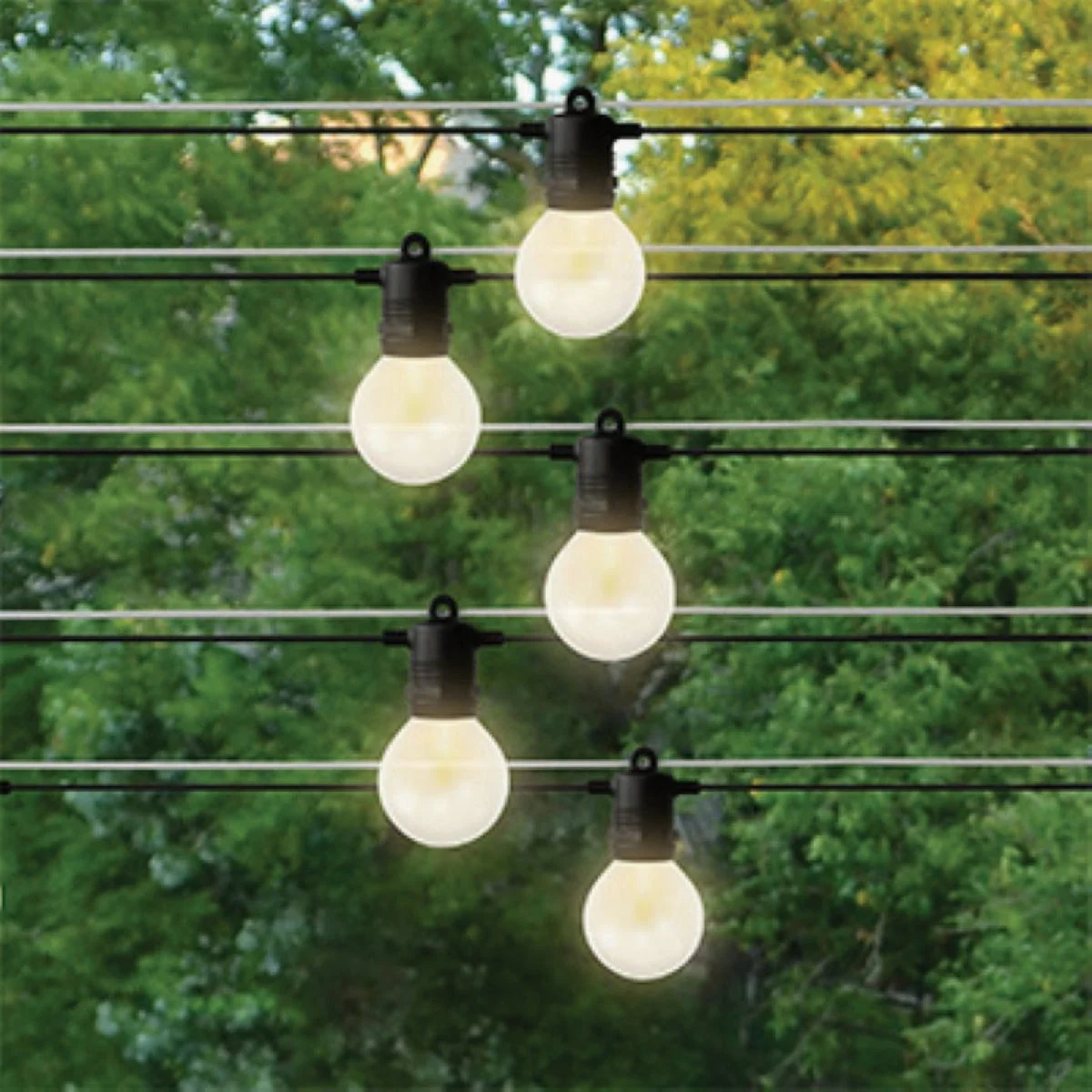 Elite Holiday Bright Lights Belle Luci 12-Bulb G50 Warm White Transparent LED Light Kit Smart