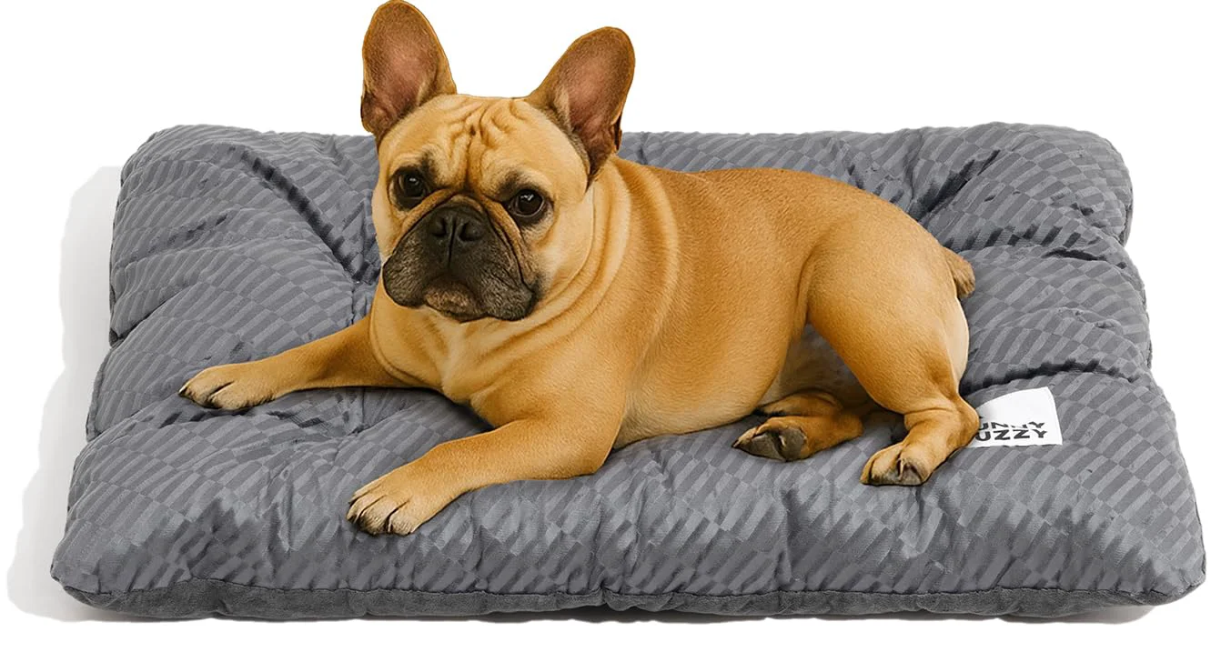 Secure FUNNY FUZZY 30x20 Washable Dog Bed Crate Mat 2-in-1 Plush Kennel Mattress for Medium Dogs Cats Elite