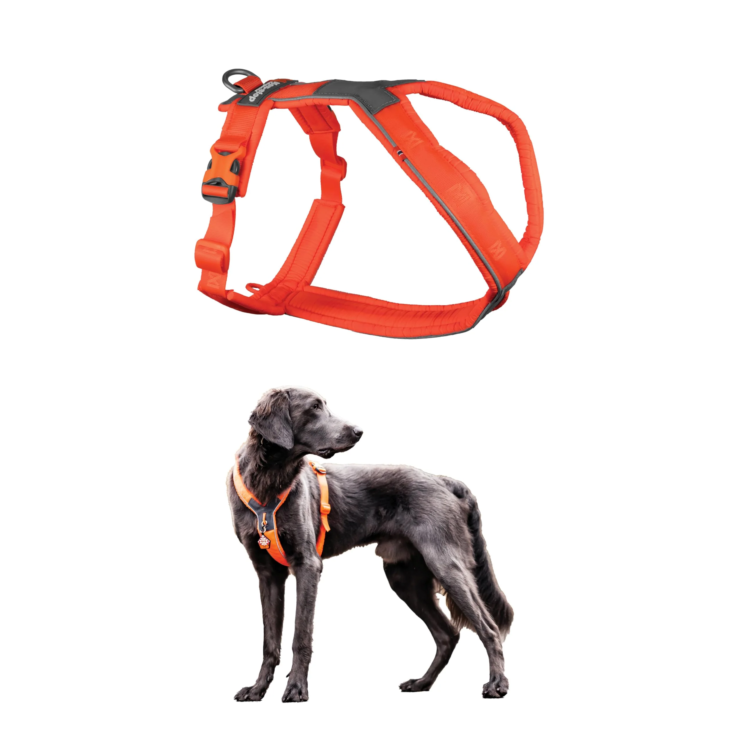 Functional Non-stop dogwear Line Harness 5.0 — Padded Medium Dog Harness for Hiking Sport Everyday Active Life Size 4 Orange World-Class