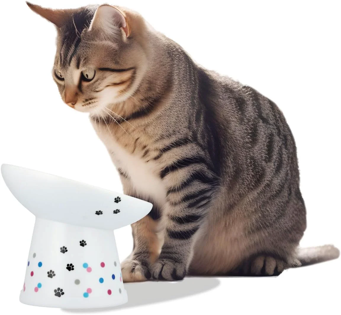 Responsible Necoichi Extra Wide Raised Cat Food Bowl d Prevent Neck Whisker Fatigue Dishwasher and Microwave Safe No.1 Seller in Japan Colorful Dots Limited Edition Extra Wide Tilted Carefully Designed