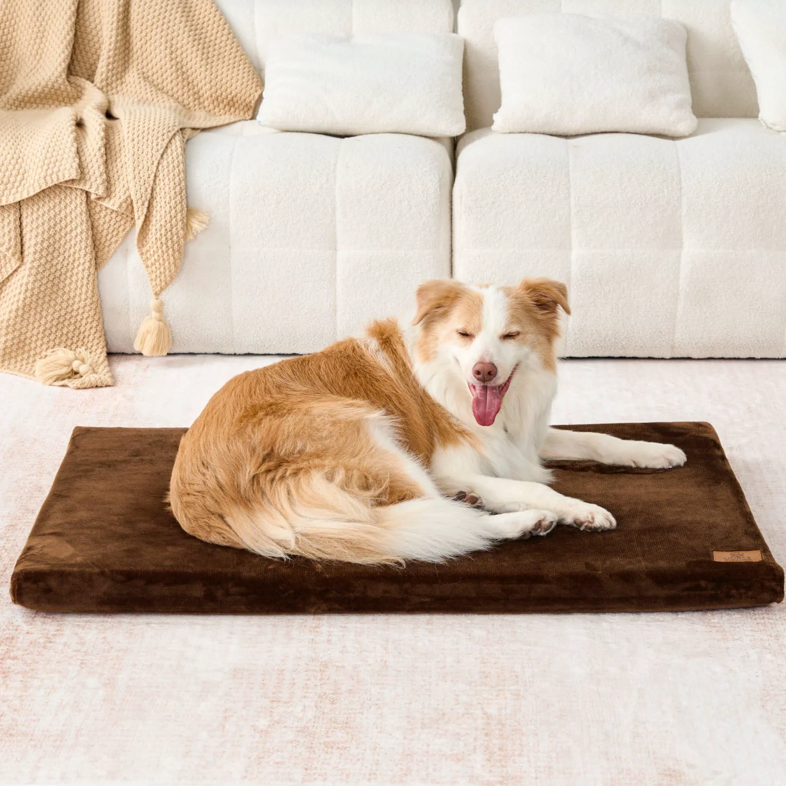 High-End LIORCE 42-Inch XL Dog Crate Pad – Waterproof Liner Removable Cover All-Season Memory Foam Bed Easy-to-Use
