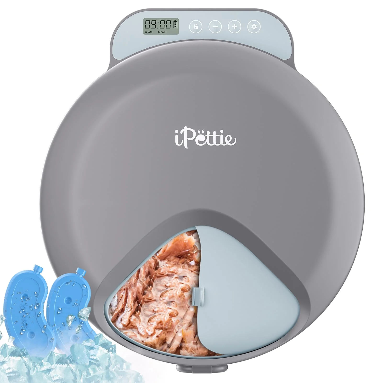 High-End iPettie Zharko Four-Meal Automatic Wet Cat Feeder Locking Lid Elite
